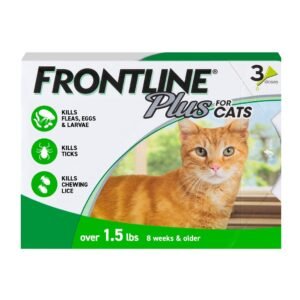 Frontline Plus for Small Cats 8 Week or Older - Green