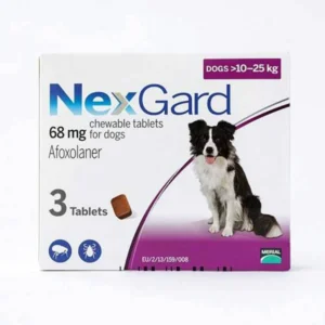 Nexgard Chewables for Large Dogs - Purple Pack 24-60 lbs (10-25 kg)