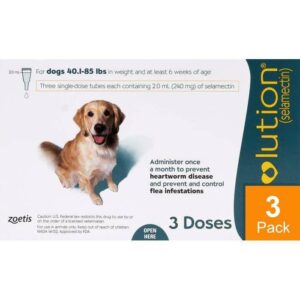 Revolution-For-Dogs-44-88lbs-20-40kg-3-Pack-Teal.jpg Revolution For Dogs 44-88lbs (20-40kg) (Teal)