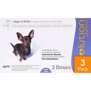 Revolution For Small Dogs 5-10lbs (2.6-5kg) (Purple)